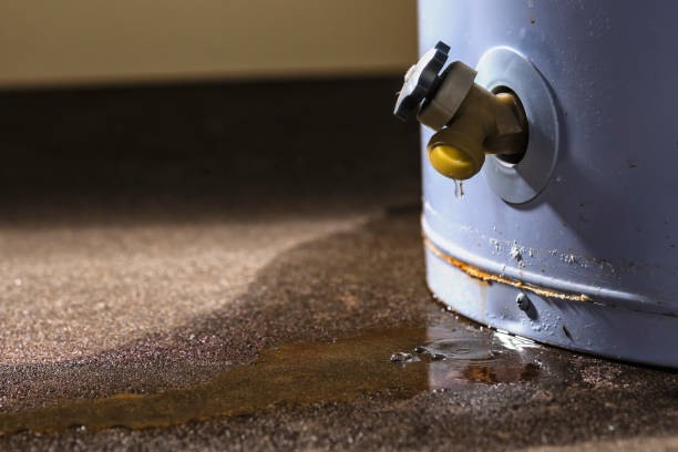 Best Mold removal after water damage  in Attla, AL