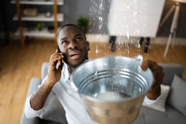 Best 24-hour water damage restoration  in Attla, AL