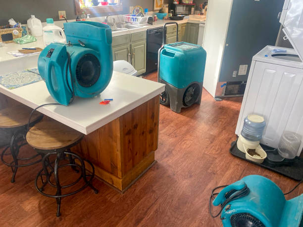 Best Water damage restoration near me  in Attla, AL