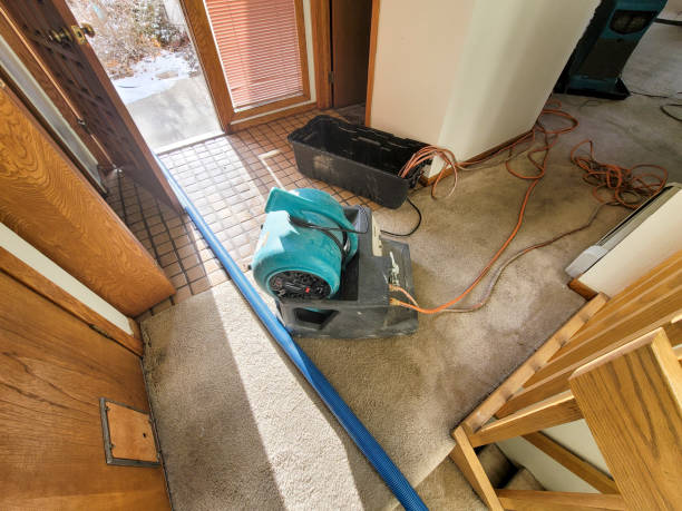 Best Flood damage cleanup  in Attla, AL