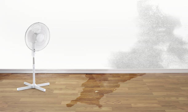 Best Sewage cleanup and water damage restoration  in Attla, AL