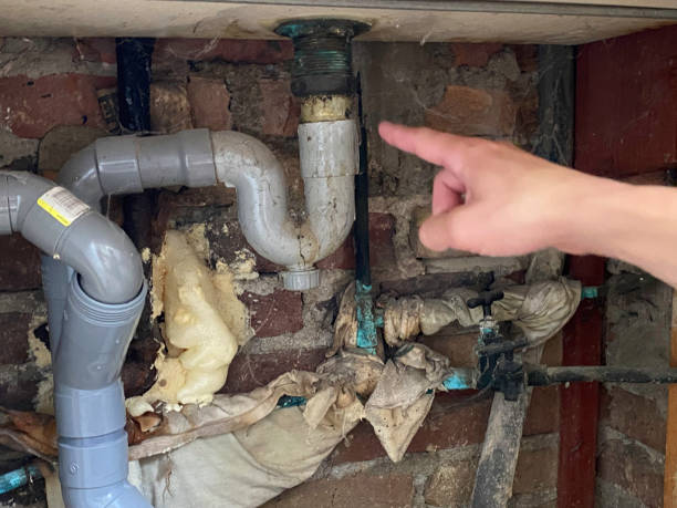 Best Local water damage restoration  in Attla, AL