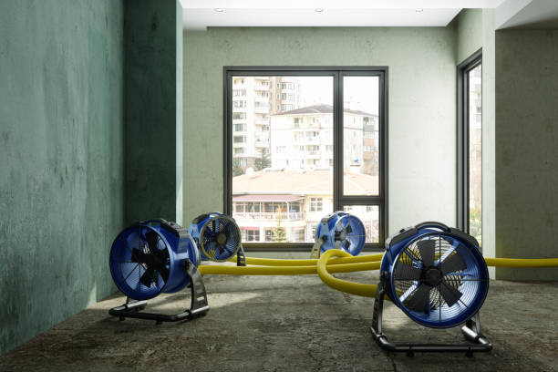 Best Flood restoration services  in Attla, AL